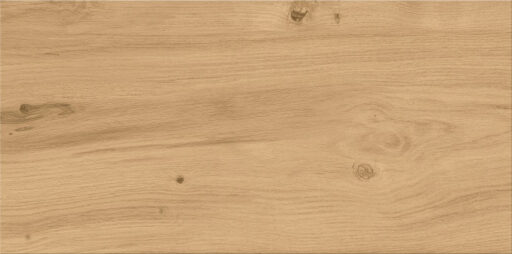 #CSN-213 ASHVILLE beige M3 30x60 - Image 2